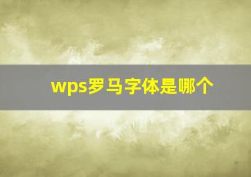 wps罗马字体是哪个