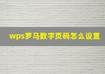 wps罗马数字页码怎么设置