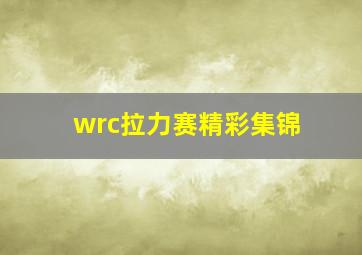 wrc拉力赛精彩集锦