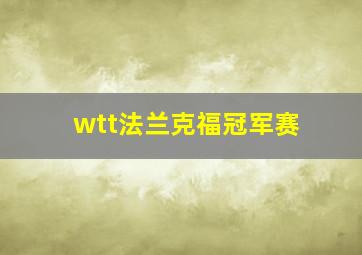 wtt法兰克福冠军赛