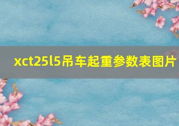 xct25l5吊车起重参数表图片