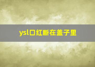 ysl口红断在盖子里