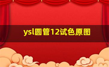 ysl圆管12试色原图