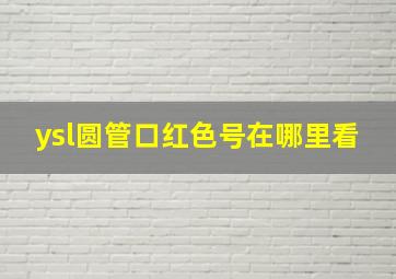 ysl圆管口红色号在哪里看