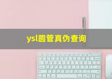 ysl圆管真伪查询