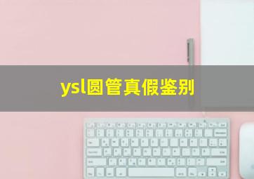 ysl圆管真假鉴别