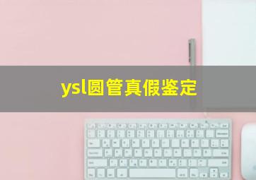 ysl圆管真假鉴定