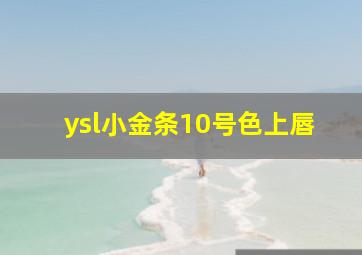 ysl小金条10号色上唇