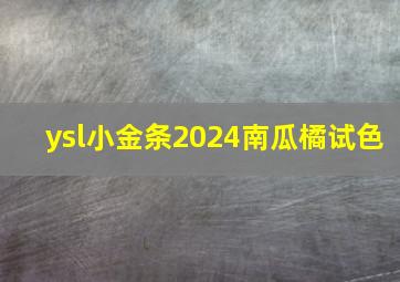 ysl小金条2024南瓜橘试色