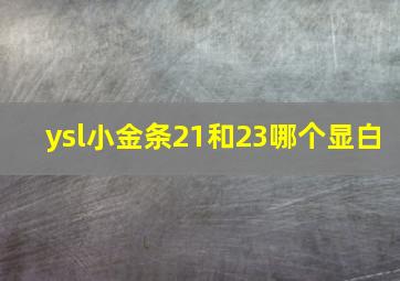 ysl小金条21和23哪个显白