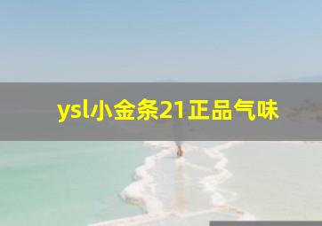 ysl小金条21正品气味