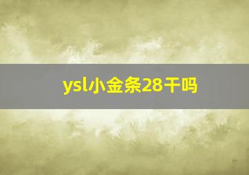 ysl小金条28干吗