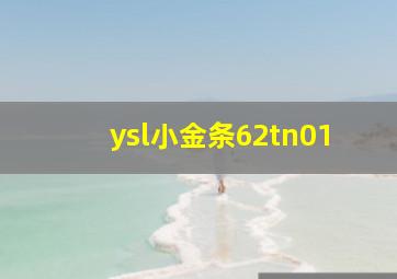 ysl小金条62tn01