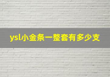 ysl小金条一整套有多少支