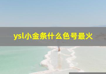 ysl小金条什么色号最火