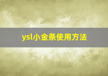 ysl小金条使用方法