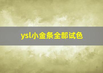 ysl小金条全部试色