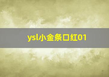 ysl小金条口红01