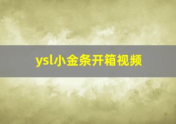 ysl小金条开箱视频