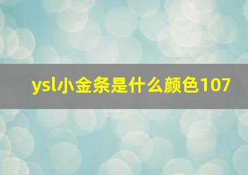 ysl小金条是什么颜色107