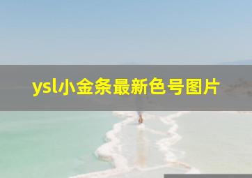 ysl小金条最新色号图片