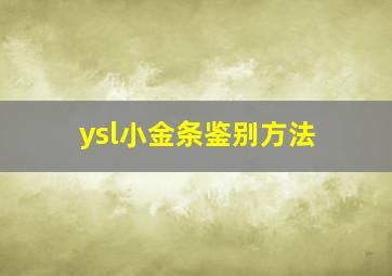 ysl小金条鉴别方法