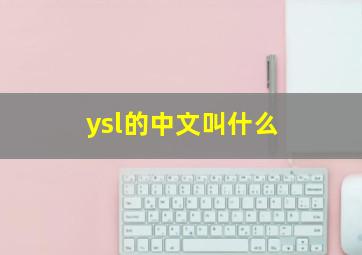 ysl的中文叫什么