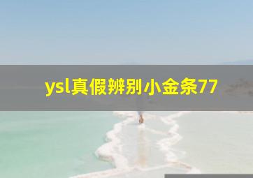 ysl真假辨别小金条77