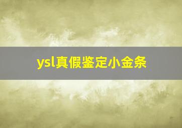 ysl真假鉴定小金条