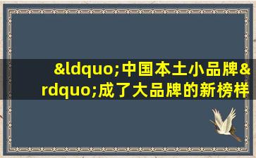 “中国本土小品牌”成了大品牌的新榜样