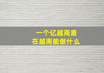 一个亿越南盾在越南能做什么