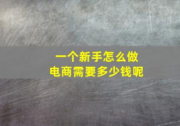 一个新手怎么做电商需要多少钱呢