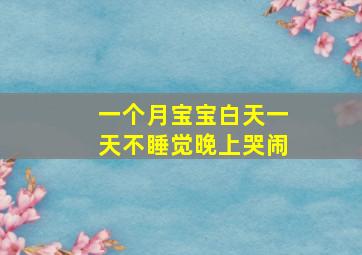 一个月宝宝白天一天不睡觉晚上哭闹