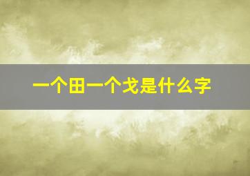 一个田一个戈是什么字