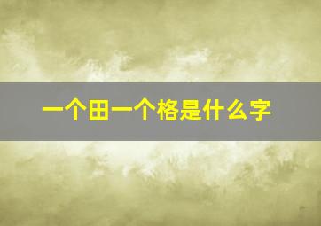 一个田一个格是什么字