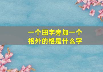 一个田字旁加一个格外的格是什么字