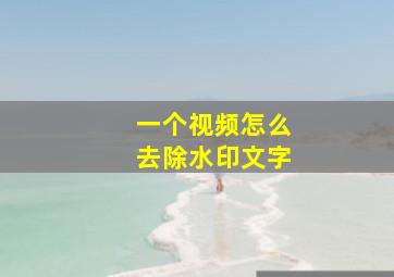 一个视频怎么去除水印文字