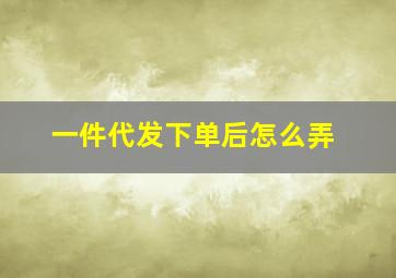 一件代发下单后怎么弄