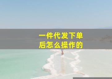 一件代发下单后怎么操作的