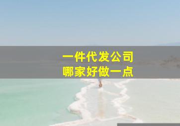 一件代发公司哪家好做一点