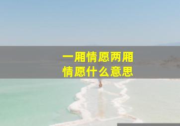 一厢情愿两厢情愿什么意思