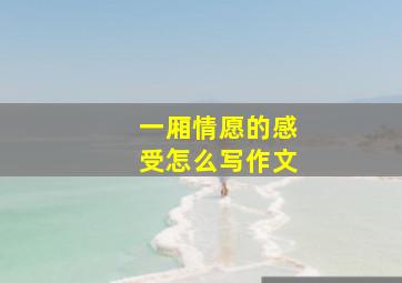 一厢情愿的感受怎么写作文