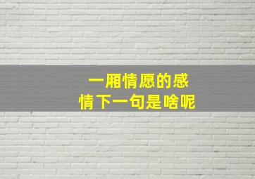 一厢情愿的感情下一句是啥呢