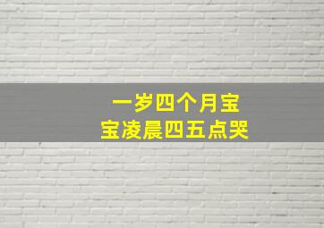 一岁四个月宝宝凌晨四五点哭