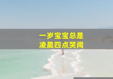 一岁宝宝总是凌晨四点哭闹