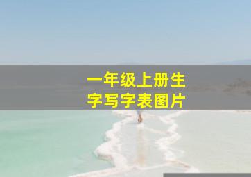 一年级上册生字写字表图片