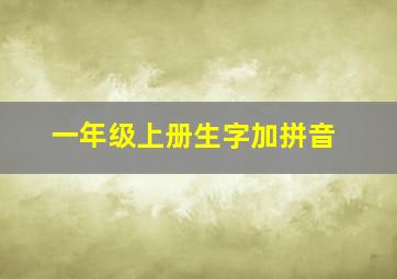 一年级上册生字加拼音