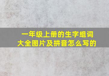 一年级上册的生字组词大全图片及拼音怎么写的