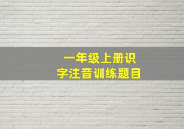 一年级上册识字注音训练题目