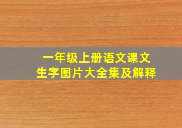 一年级上册语文课文生字图片大全集及解释